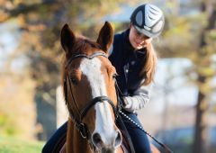 Junges Mädchen reitet auf einem Pferd